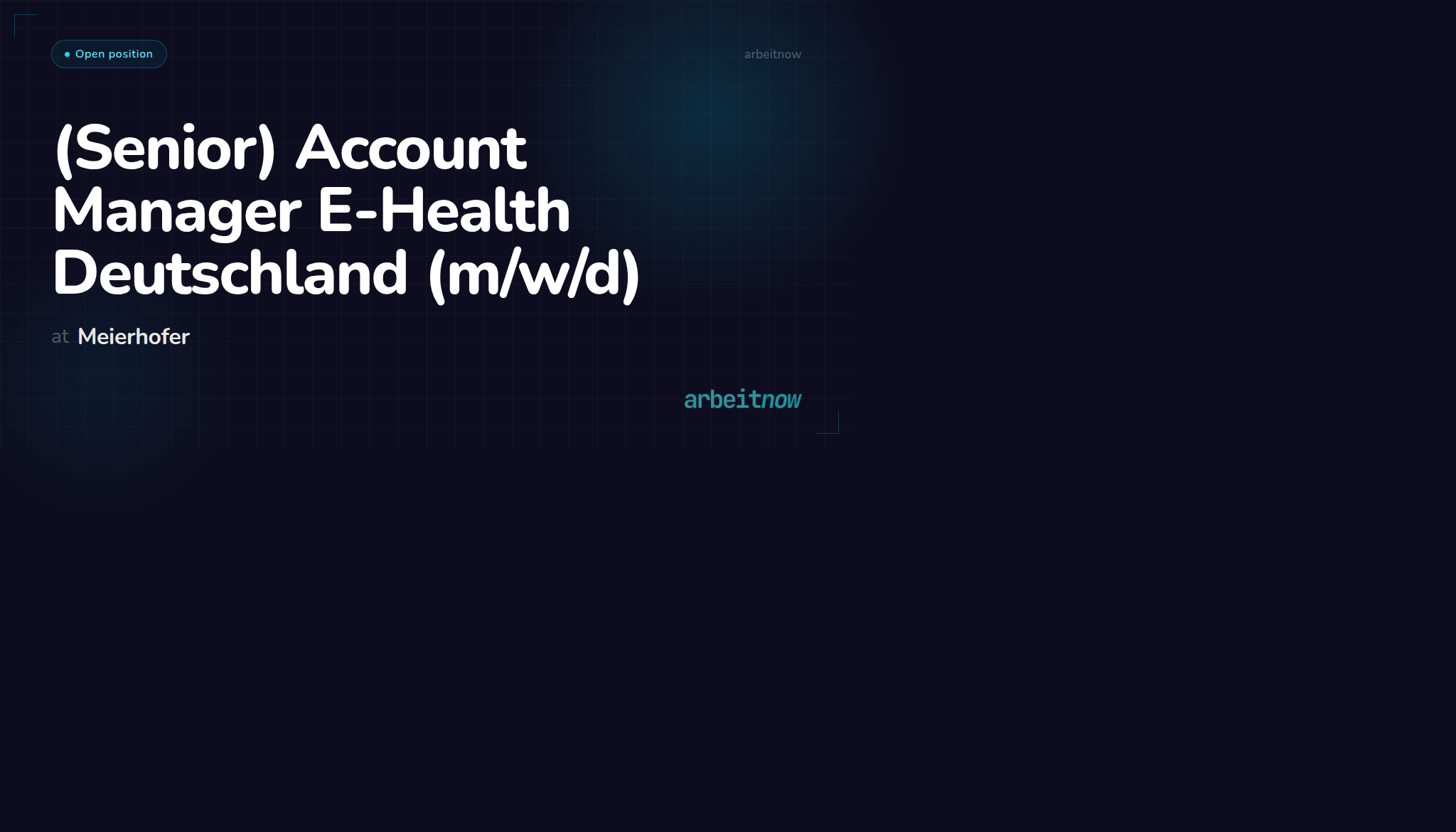 (Senior) Account Manager E-Health Deutschland (m/w/d) — Meierhofer