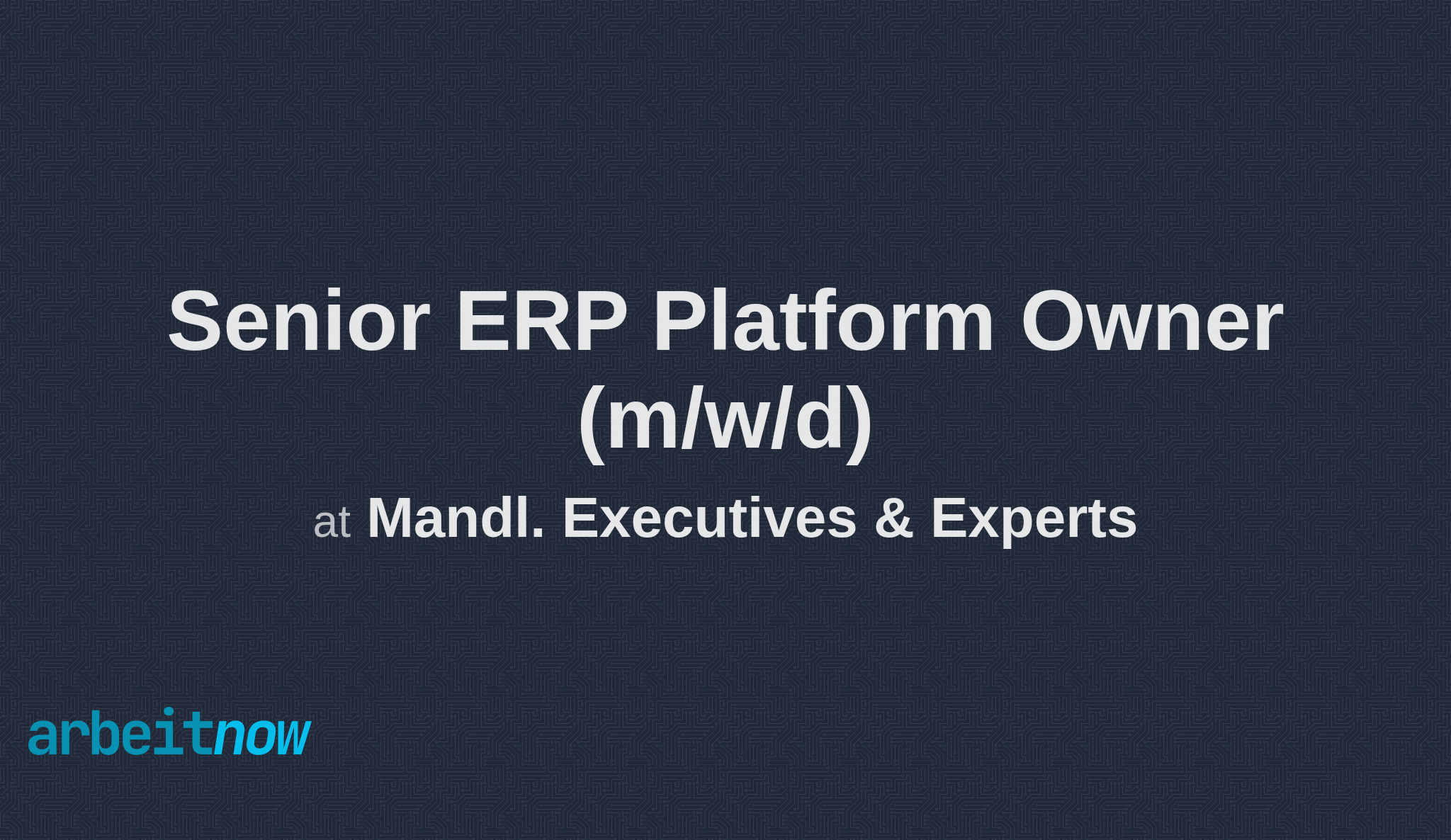 Senior ERP Platform Owner (m/w/d) job at Mandl. Executives & Experts in ...