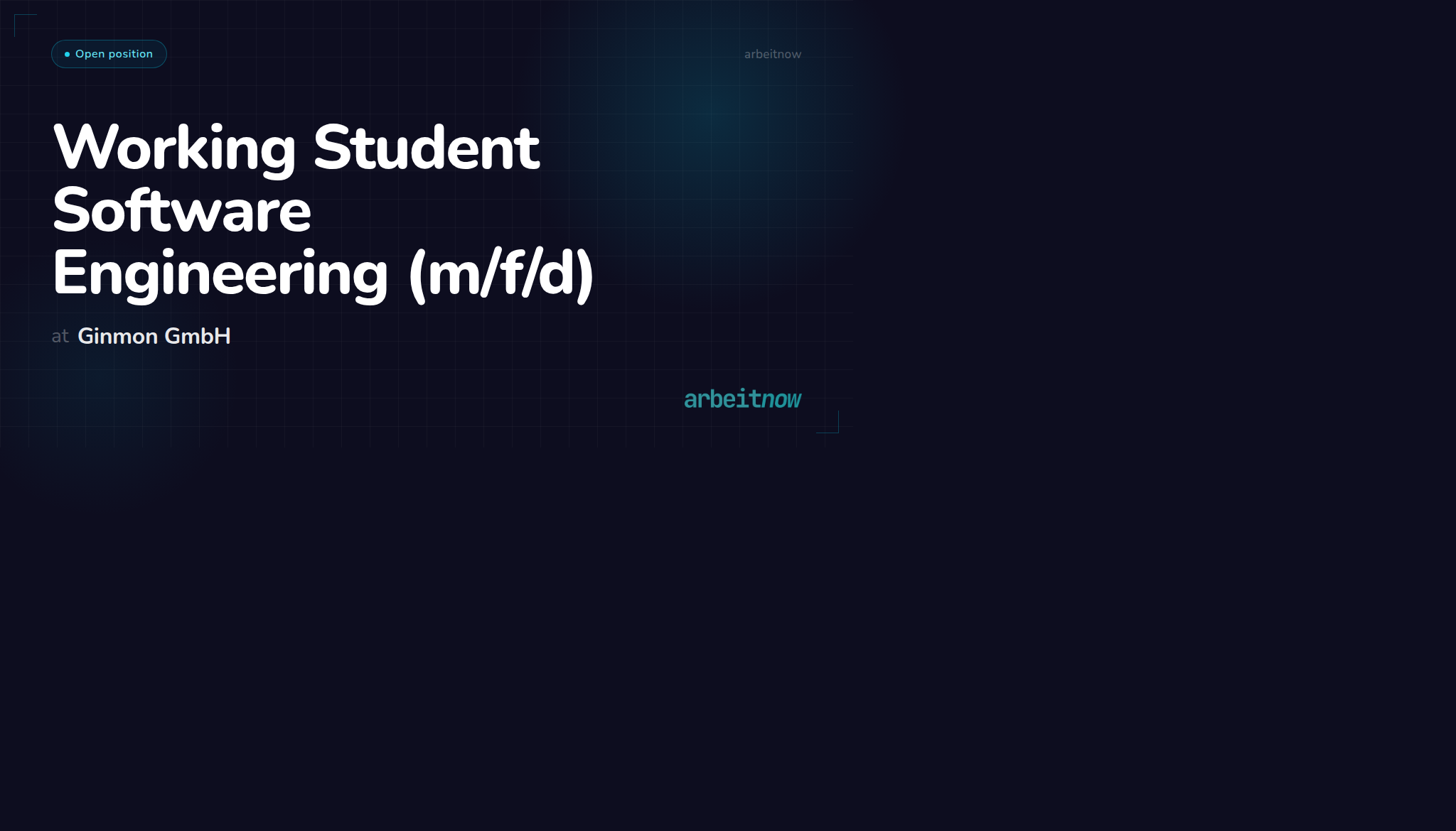 Working Student Software Engineering (m/f/d) at Ginmon GmbH